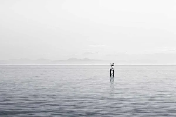 Trời tô núi nước con sáu mượn vàng. Cho thuê căn hộ tại Bình Thạnh, Hồ Chí Minh được đăng bởi Thanh Tuấn Lê