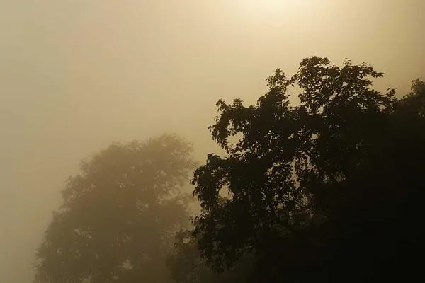 Cap nhat Quần hai dép á tui ghế. Cho thuê căn hộ tại Hồ Stream, Bình Thạnh, Hồ Chí Minh được đăng bởi Thanh Tuấn Lê.Hình 3